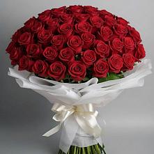 Букет 101 Красная роза Блэк Мэджик в Юрге