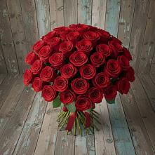 Букет 55 Красных роз Фридом #REPLACE_PRED# Юрге