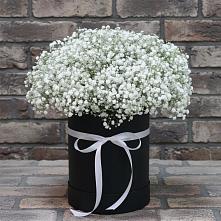 Цветочная композиция из Гипсофила в шляпной коробке #REPLACE_PRED# Юрге