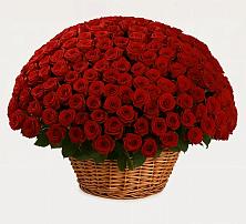 Премиум букет из: Розы в Юрге